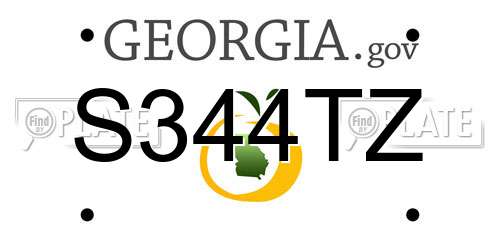 S344TZ Georgia License Plate