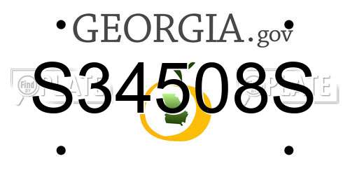 S34508S Georgia License Plate