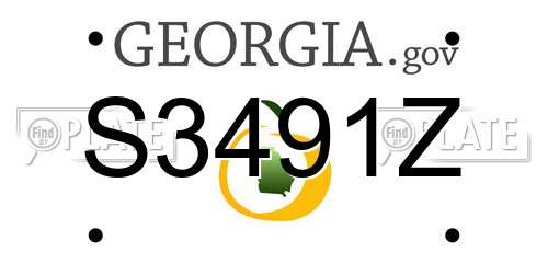 S3491Z Georgia License Plate