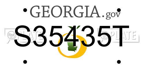 S35435T Georgia License Plate