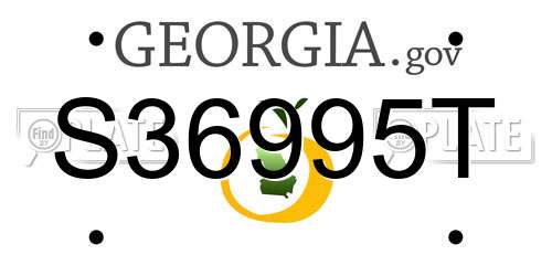 S36995T Georgia License Plate