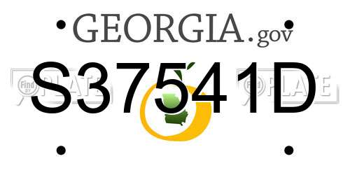 S37541D Georgia License Plate