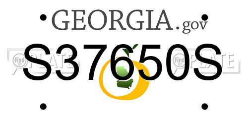 S37650S Georgia License Plate