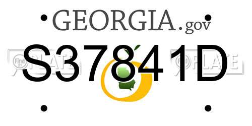 S37841D Georgia License Plate