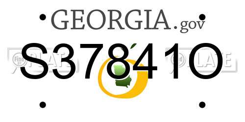 S37841O Georgia License Plate