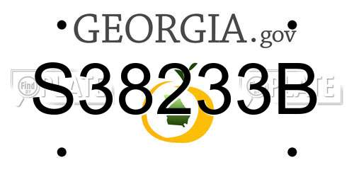 S38233B Georgia License Plate