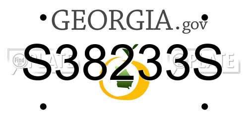 S38233S Georgia License Plate
