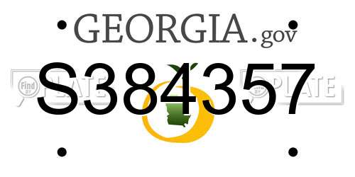 S384357 Georgia License Plate