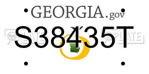 S38435T Georgia License Plate