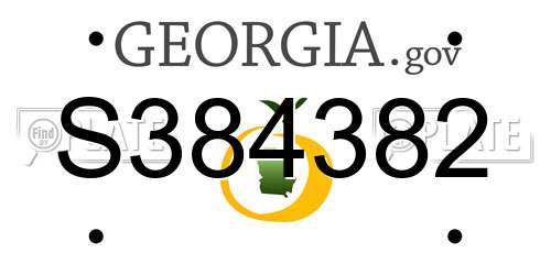 S384382 Georgia License Plate