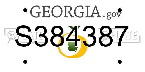 S384387 Georgia License Plate