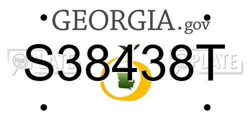 S38438T Georgia License Plate