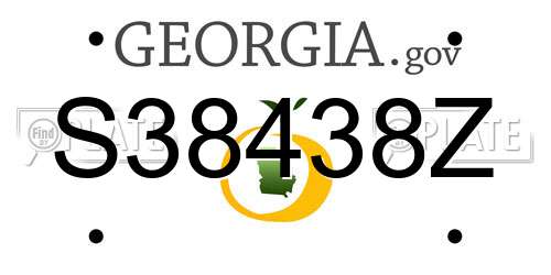 S38438Z Georgia License Plate