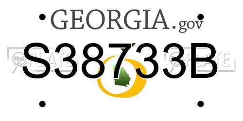 S38733B Georgia License Plate