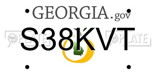 S38KVT Georgia License Plate