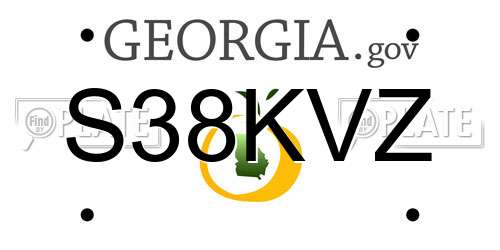 S38KVZ Georgia License Plate