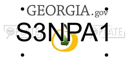 S3NPA1 Georgia License Plate