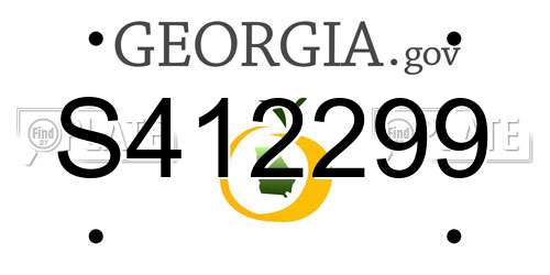 S412299 Georgia License Plate