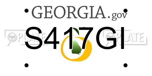 S417GI Georgia License Plate