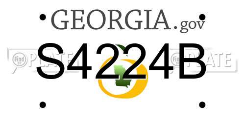 S4224B Georgia License Plate