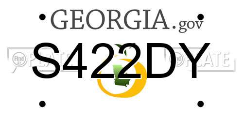 S422DY Georgia License Plate