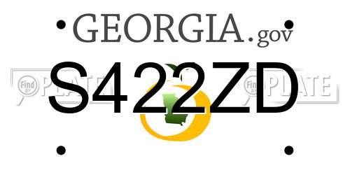 S422ZD Georgia License Plate