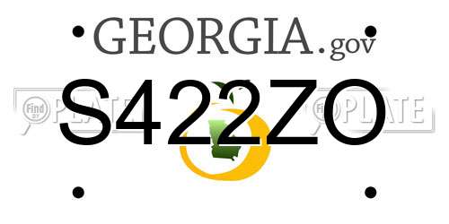 S422ZO Georgia License Plate