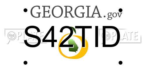 S42TID Georgia License Plate