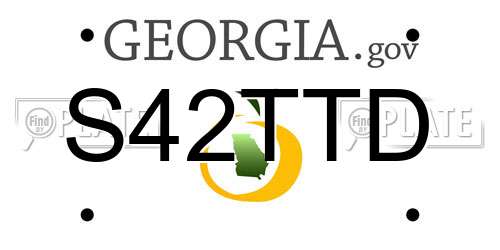 S42TTD Georgia License Plate