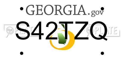 S42TZQ Georgia License Plate