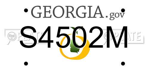 S4502M Georgia License Plate