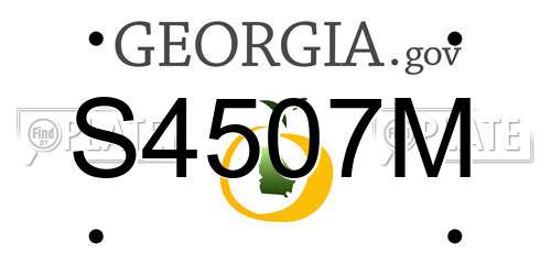 S4507M Georgia License Plate