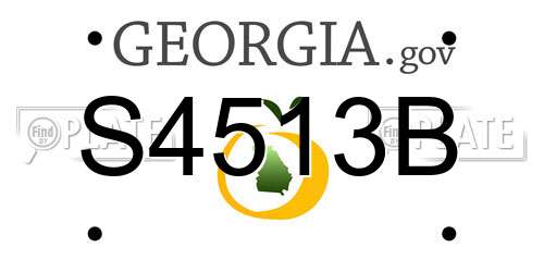 S4513B Georgia License Plate