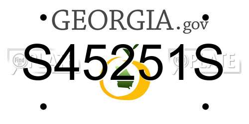 S45251S Georgia License Plate