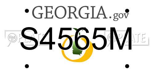 S4565M Georgia License Plate