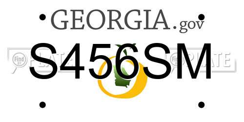 S456SM Georgia License Plate