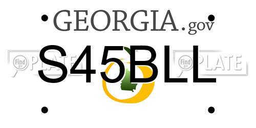S45BLL Georgia License Plate
