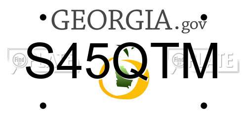 S45QTM Georgia License Plate