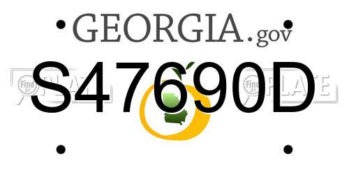 S47690D Georgia License Plate