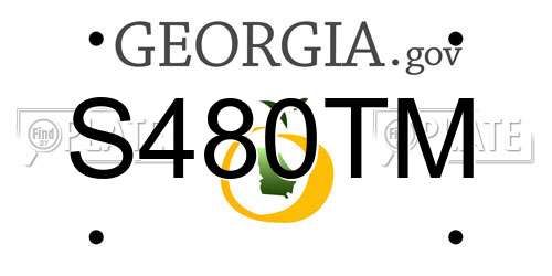 S480TM Georgia License Plate