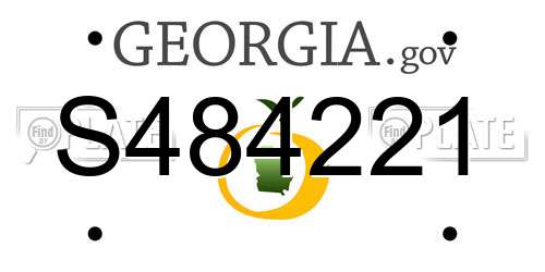S484221 Georgia License Plate