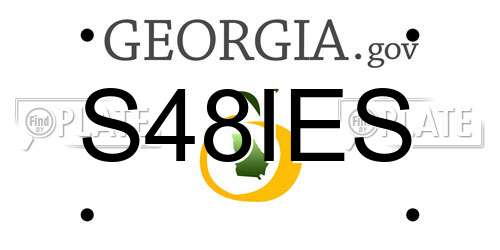 S48IES Georgia License Plate