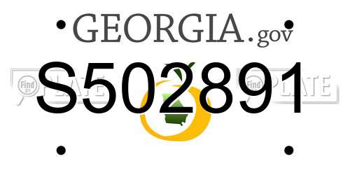 S502891 Georgia License Plate