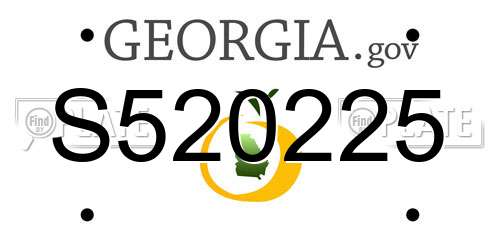 S520225 Georgia License Plate