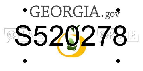 S520278 Georgia License Plate
