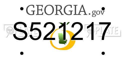 S521217 Georgia License Plate
