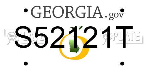 S52121T Georgia License Plate