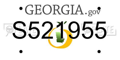 S521955 Georgia License Plate