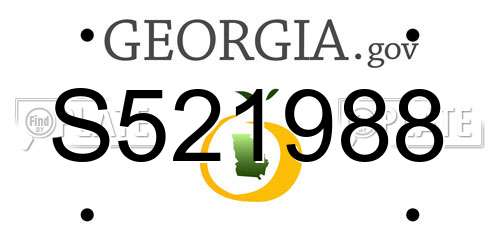 S521988 Georgia License Plate