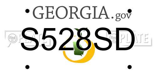 S528SD Georgia License Plate